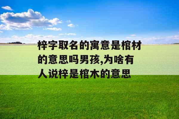 梓字取名的寓意是棺材的意思吗男孩,为啥有人说梓是棺木的意思