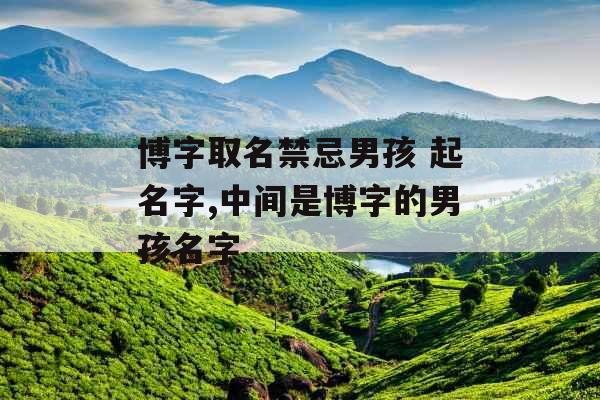 博字取名禁忌男孩 起名字,中间是博字的男孩名字