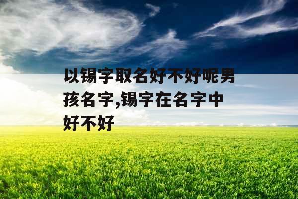 以锡字取名好不好呢男孩名字,锡字在名字中好不好