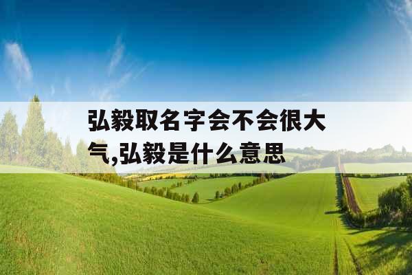 弘毅取名字会不会很大气,弘毅是什么意思