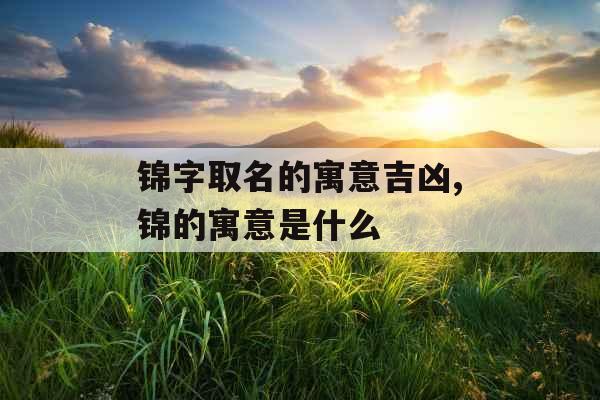 锦字取名的寓意吉凶,锦的寓意是什么