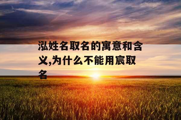 泓姓名取名的寓意和含义,为什么不能用宸取名