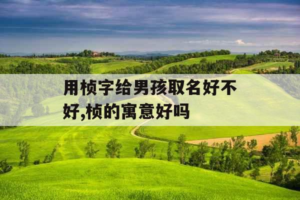 用桢字给男孩取名好不好,桢的寓意好吗 用桢字给男孩取名好不好,桢的寓意好吗