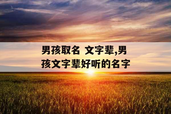 男孩取名 文字辈,男孩文字辈好听的名字