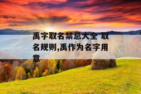 禹字取名禁忌大全 取名规则,禹作为名字用意