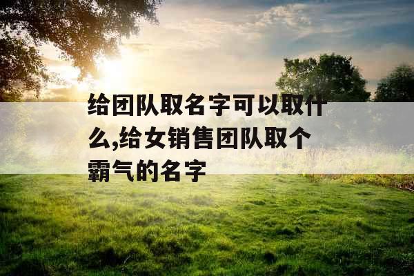 给团队取名字可以取什么,给女销售团队取个霸气的名字