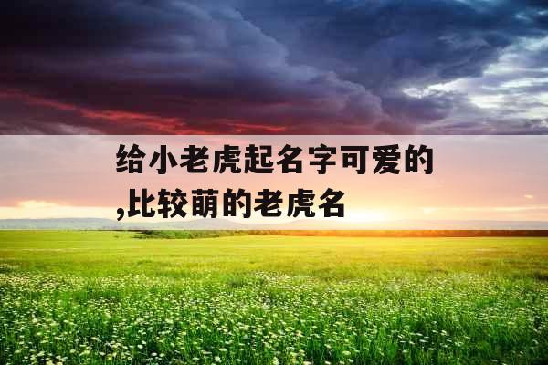 给小老虎起名字可爱的,比较萌的老虎名