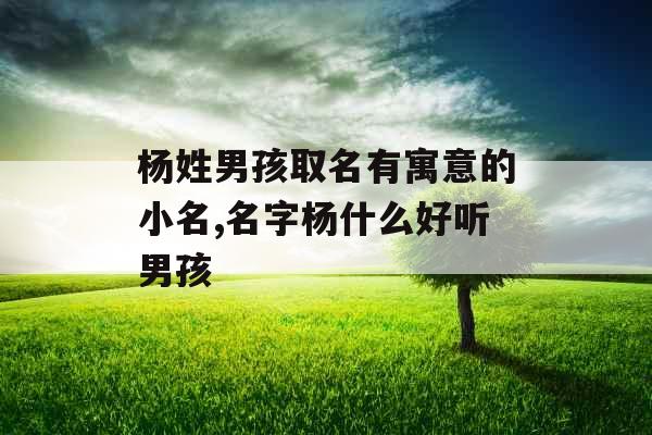 杨姓男孩取名有寓意的小名,名字杨什么好听男孩 杨姓男孩取名有寓意的小名,名字杨什么好听男孩