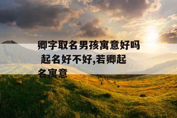 卿字取名男孩寓意好吗 起名好不好,若卿起名寓意