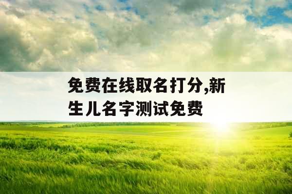 免费在线取名打分,新生儿名字测试免费