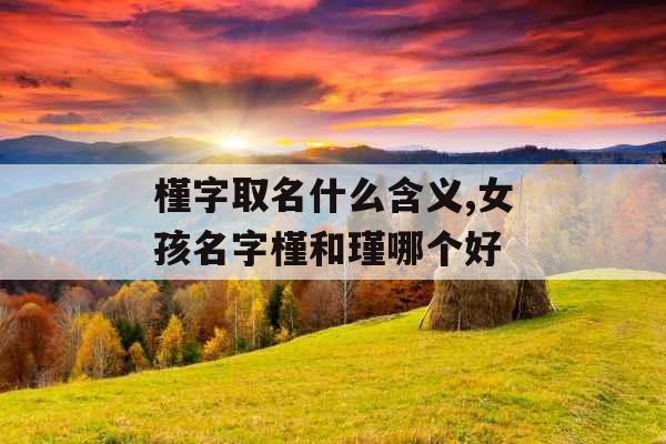 槿字取名什么含义,女孩名字槿和瑾哪个好