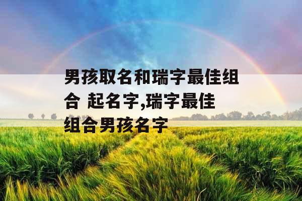 男孩取名和瑞字最佳组合 起名字,瑞字最佳组合男孩名字