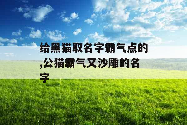 给黑猫取名字霸气点的,公猫霸气又沙雕的名字 给黑猫取名字霸气点的,公猫霸气又沙雕的名字