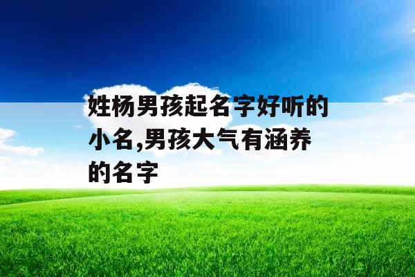 姓杨男孩起名字好听的小名,男孩大气有涵养的名字