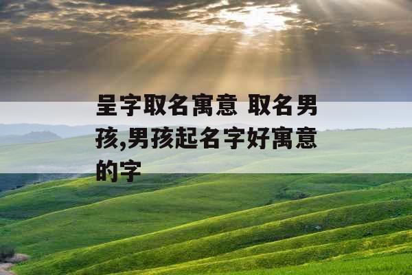 呈字取名寓意 取名男孩,男孩起名字好寓意的字 呈字取名寓意 取名男孩,男孩起名字好寓意的字