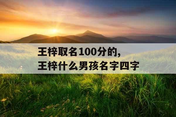 王梓取名100分的,王梓什么男孩名字四字