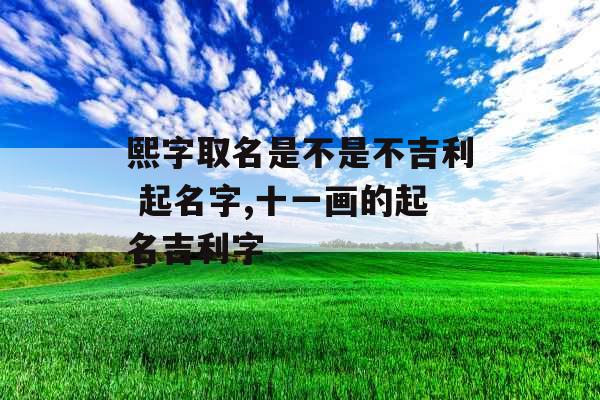 熙字取名是不是不吉利 起名字,十一画的起名吉利字 熙字取名是不是不吉利 起名字,十一画的起名吉利字