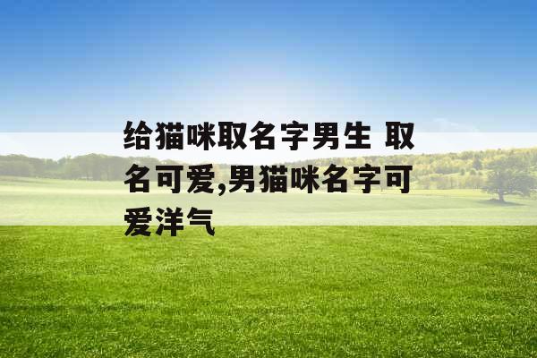给猫咪取名字男生 取名可爱,男猫咪名字可爱洋气
