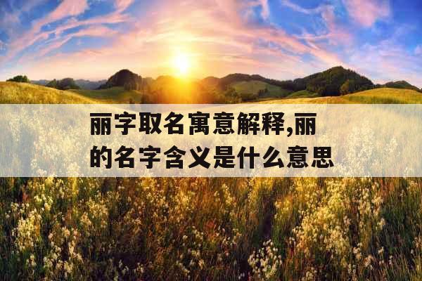 丽字取名寓意解释,丽的名字含义是什么意思