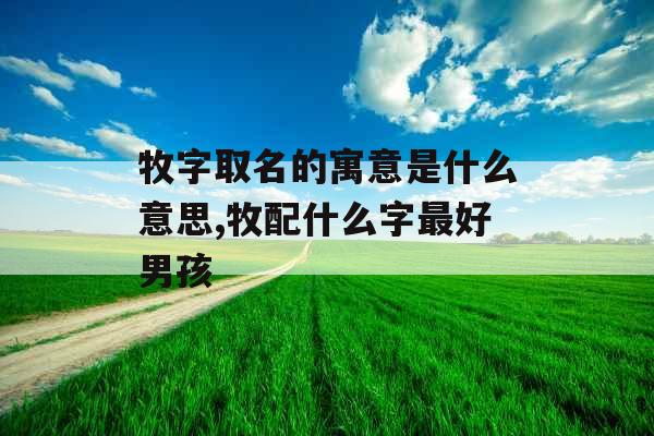 牧字取名的寓意是什么意思,牧配什么字最好男孩