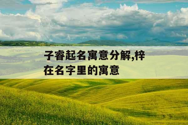 子睿起名寓意分解,梓在名字里的寓意