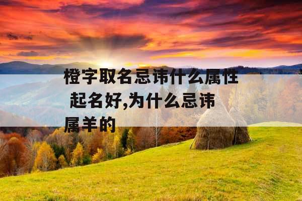 橙字取名忌讳什么属性 起名好,为什么忌讳属羊的