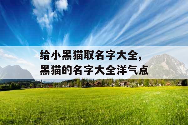 给小黑猫取名字大全,黑猫的名字大全洋气点 给小黑猫取名字大全,黑猫的名字大全洋气点