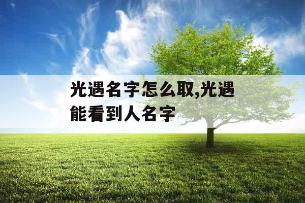 光遇名字怎么取,光遇能看到人名字