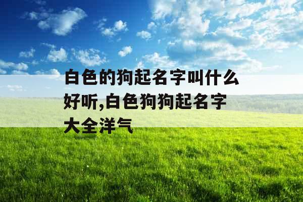白色的狗起名字叫什么好听,白色狗狗起名字大全洋气 白色的狗起名字叫什么好听,白色狗狗起名字大全洋气