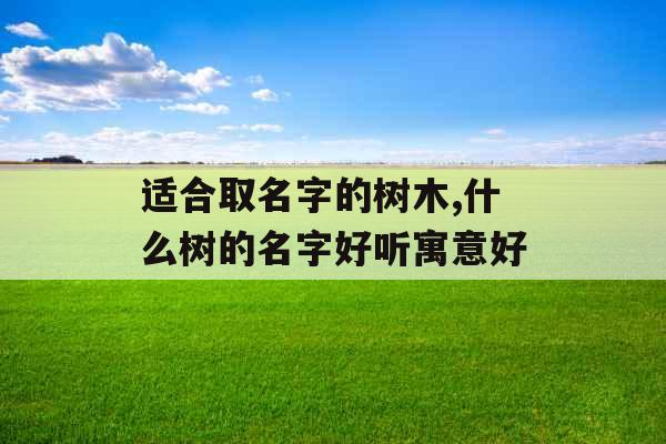适合取名字的树木,什么树的名字好听寓意好