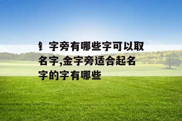 钅字旁有哪些字可以取名字,金字旁适合起名字的字有哪些