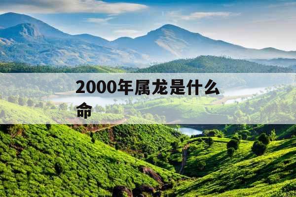 2000年属龙是什么命
