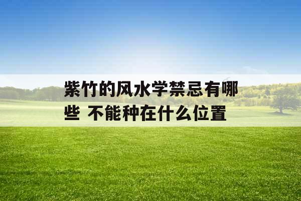 紫竹的风水学禁忌有哪些 不能种在什么位置