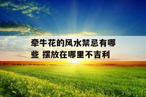 牵牛花的风水禁忌有哪些 摆放在哪里不吉利