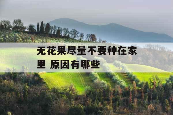 无花果尽量不要种在家里 原因有哪些 无花果尽量不要种在家里 原因有哪些