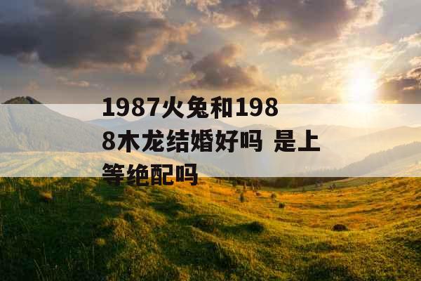 1987火兔和1988木龙结婚好吗 是上等绝配吗 1987火兔和1988木龙结婚好吗 是上等绝配吗