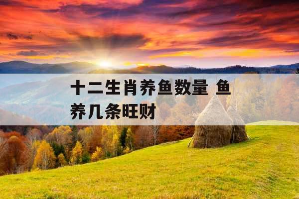 十二生肖养鱼数量 鱼养几条旺财 十二生肖养鱼数量 鱼养几条旺财