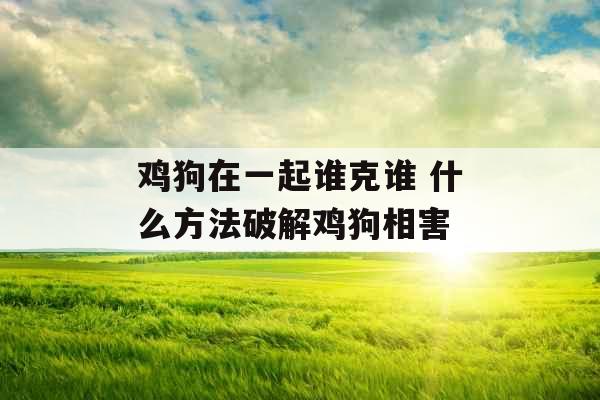 鸡狗在一起谁克谁 什么方法破解鸡狗相害
