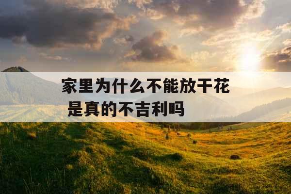 家里为什么不能放干花 是真的不吉利吗 家里为什么不能放干花 是真的不吉利吗