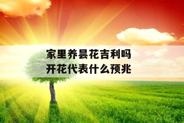 家里养昙花吉利吗  开花代表什么预兆 家里养昙花吉利吗  开花代表什么预兆