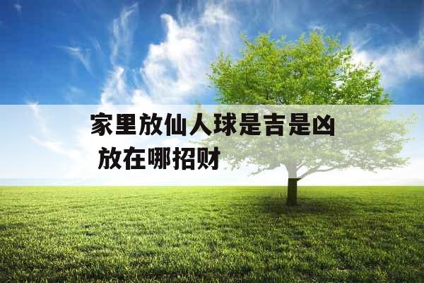 家里放仙人球是吉是凶 放在哪招财 家里放仙人球是吉是凶 放在哪招财
