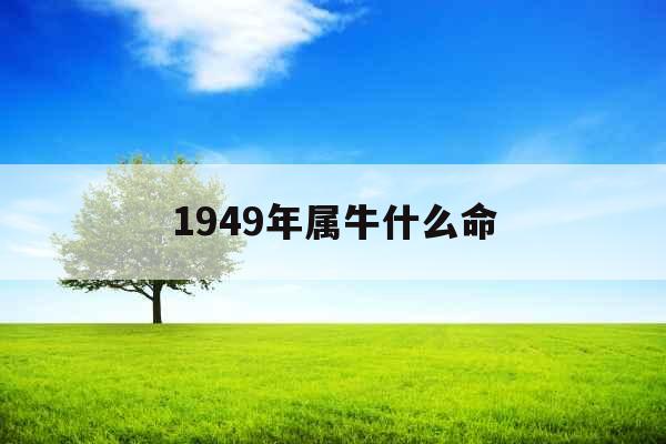 1949年属牛什么命