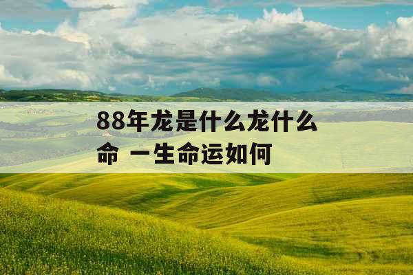 88年龙是什么龙什么命 一生命运如何