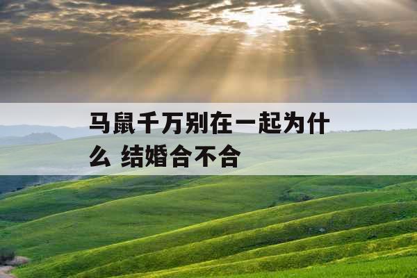 马鼠千万别在一起为什么 结婚合不合