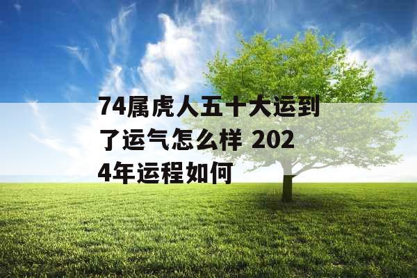 74属虎人五十大运到了运气怎么样 2024年运程如何 74属虎人五十大运到了运气怎么样 2024年运程如何