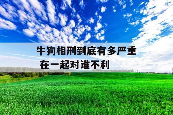 牛狗相刑到底有多严重 在一起对谁不利