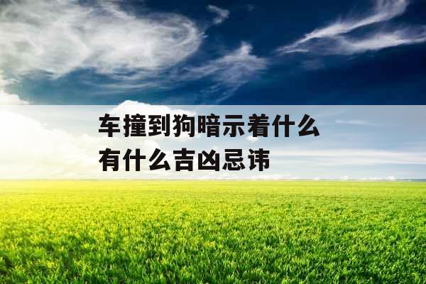车撞到狗暗示着什么 有什么吉凶忌讳 车撞到狗暗示着什么 有什么吉凶忌讳