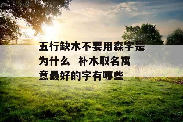 五行缺木不要用森字是为什么  补木取名寓意最好的字有哪些 五行缺木不要用森字是为什么  补木取名寓意最好的字有哪些