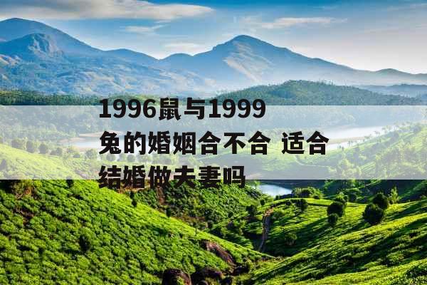 1996鼠与1999兔的婚姻合不合 适合结婚做夫妻吗 1996鼠与1999兔的婚姻合不合 适合结婚做夫妻吗