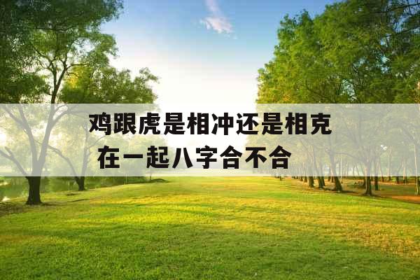 鸡跟虎是相冲还是相克 在一起八字合不合